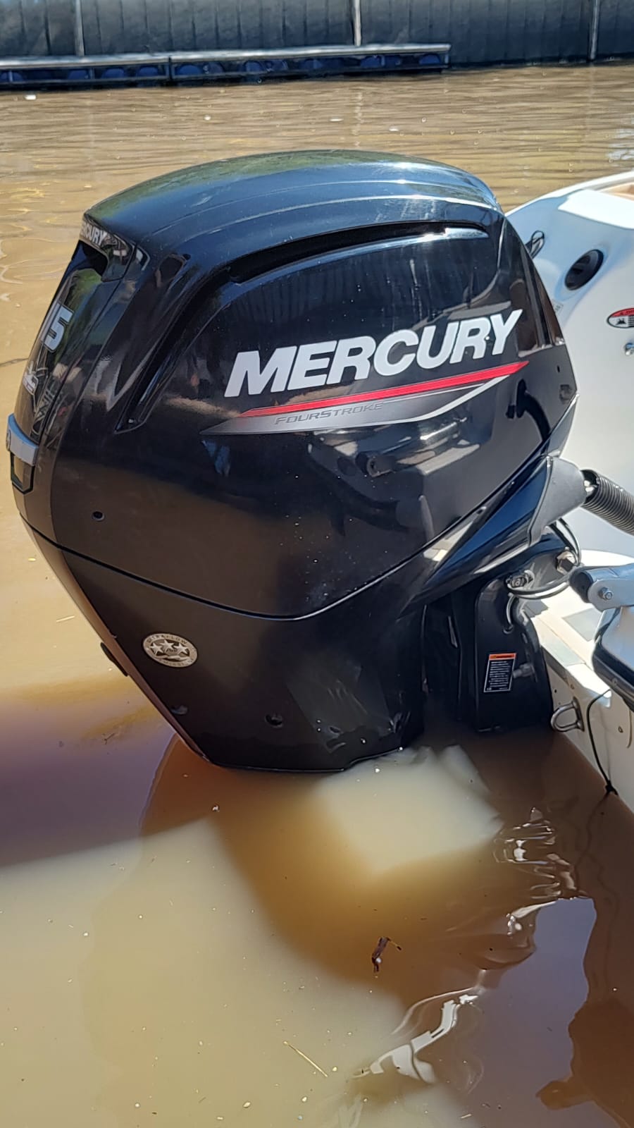 Arco Iris 18 2020 Mercury 115 4 t